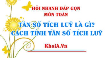 Tần số tích luỹ là gì? Cách tính Tần số tích luỹ trong thống kê và ví dụ Toán thống kê
